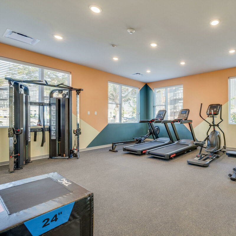 Well-equipped gym room with treadmills, weights, and a multi-gym machine.